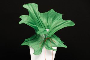 Cuello sinamay, seda, alambre bordado y cordón de seda