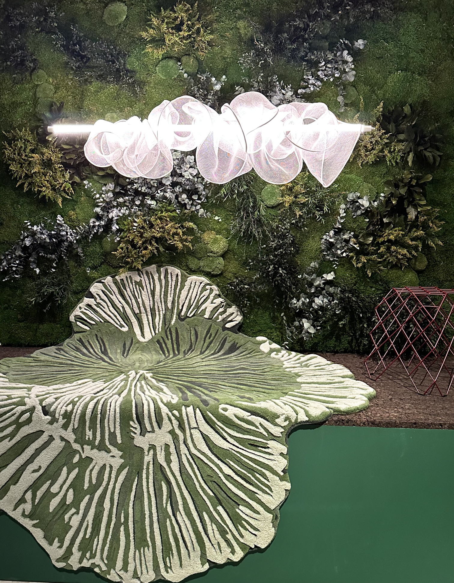 Noche En El Museo. Lzf. Valencia 2024